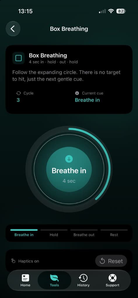 Box Breathing exercise on iPhone showing the animated breathing circle