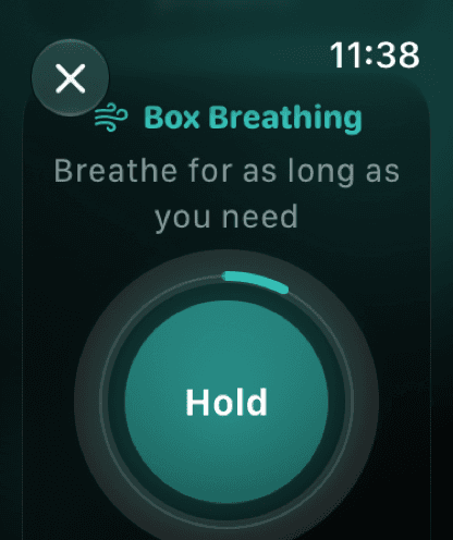 Box Breathing session on Apple Watch with a Hold prompt